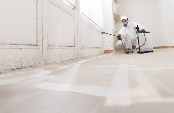 Mold Remediation for Rental Properties in East San Gabriel, CA